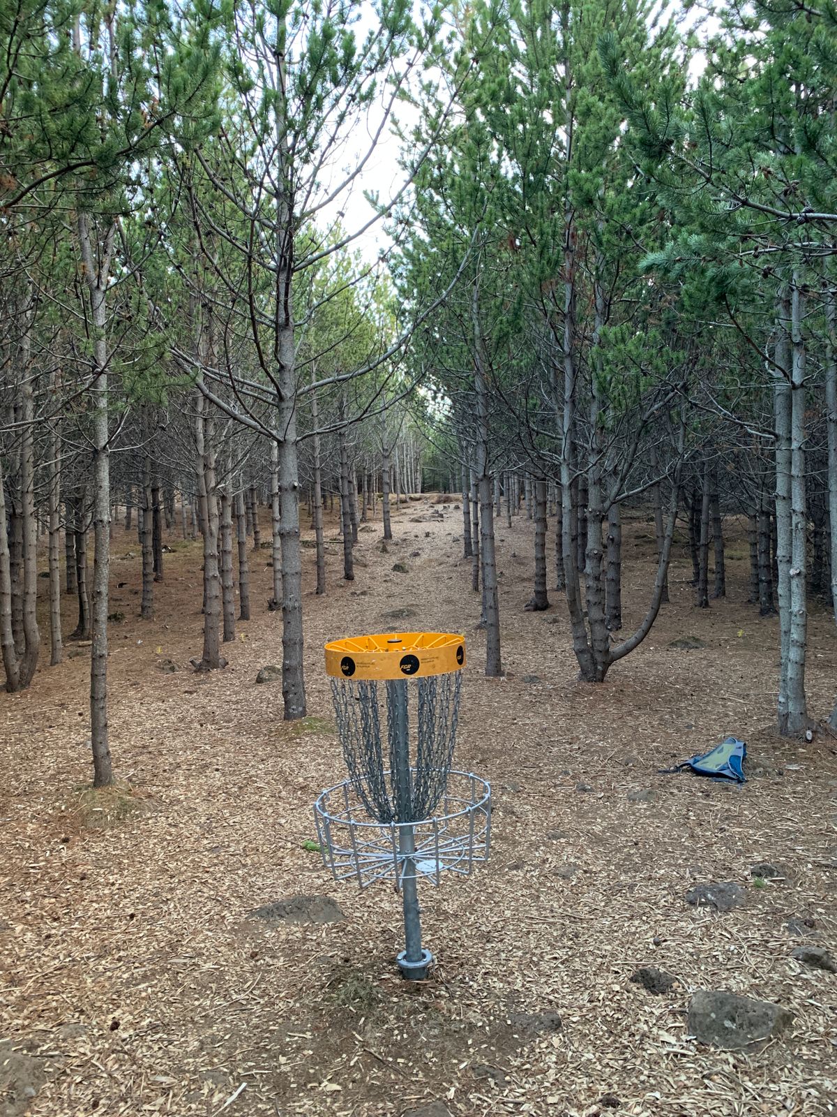 Hole 16