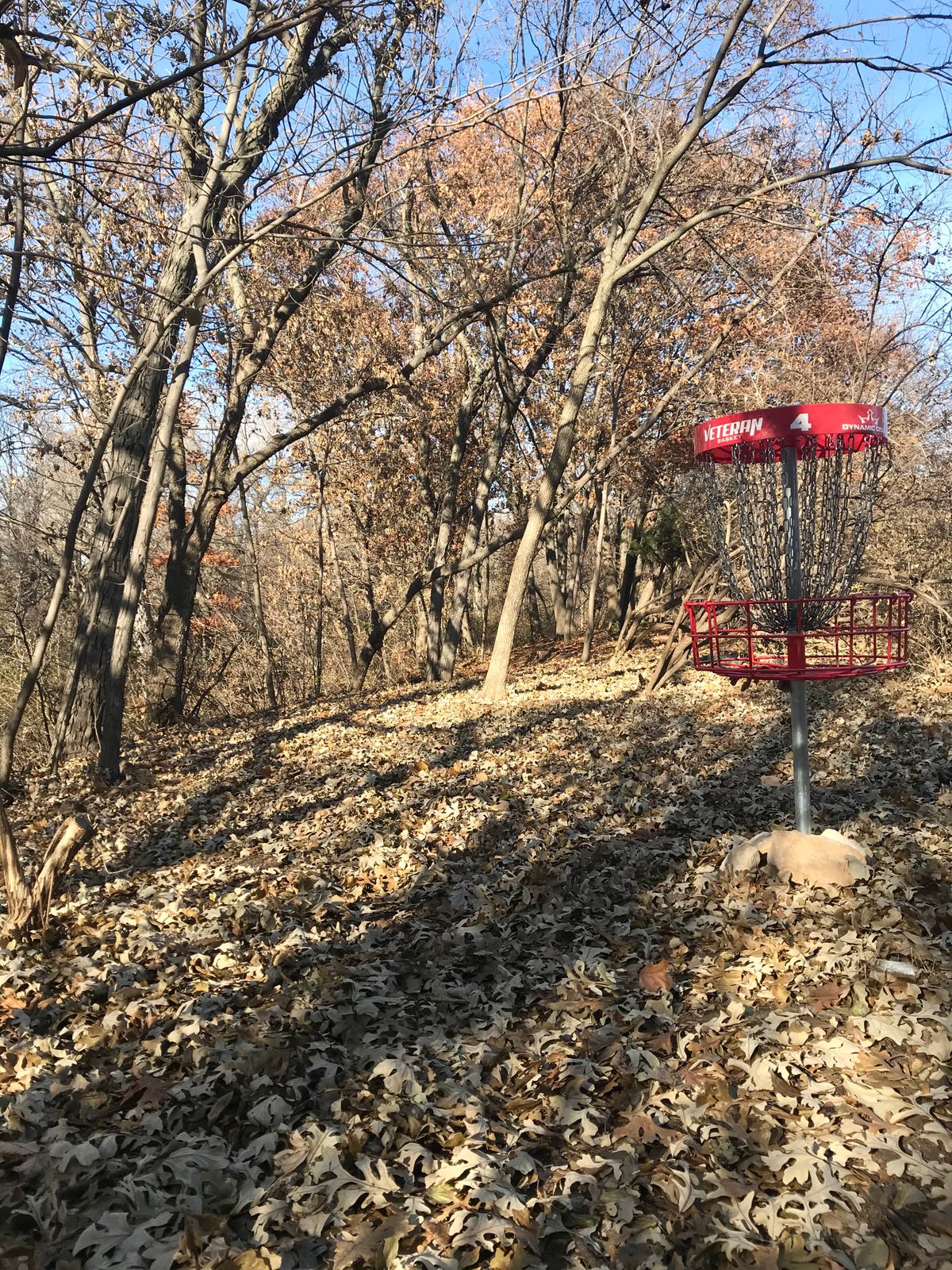 Hole 4 Basket to Tee