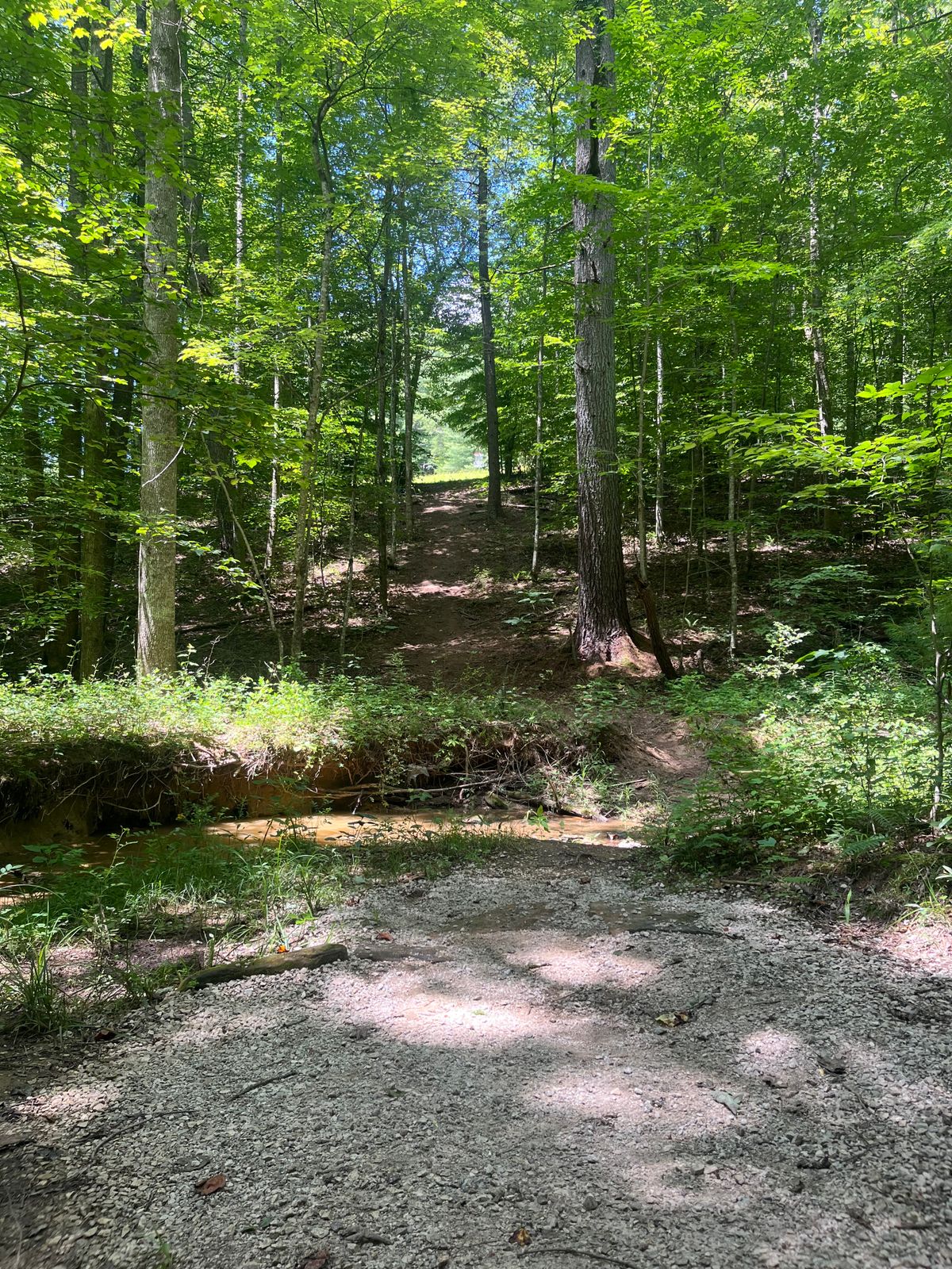 Tee pad for hole 8 is up hill to the right.  