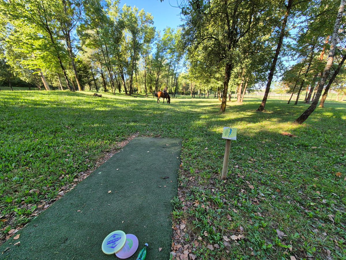 A mando horse on this course