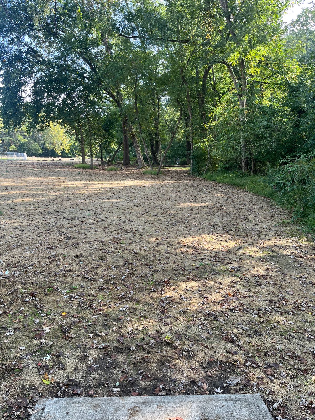 Hole 2