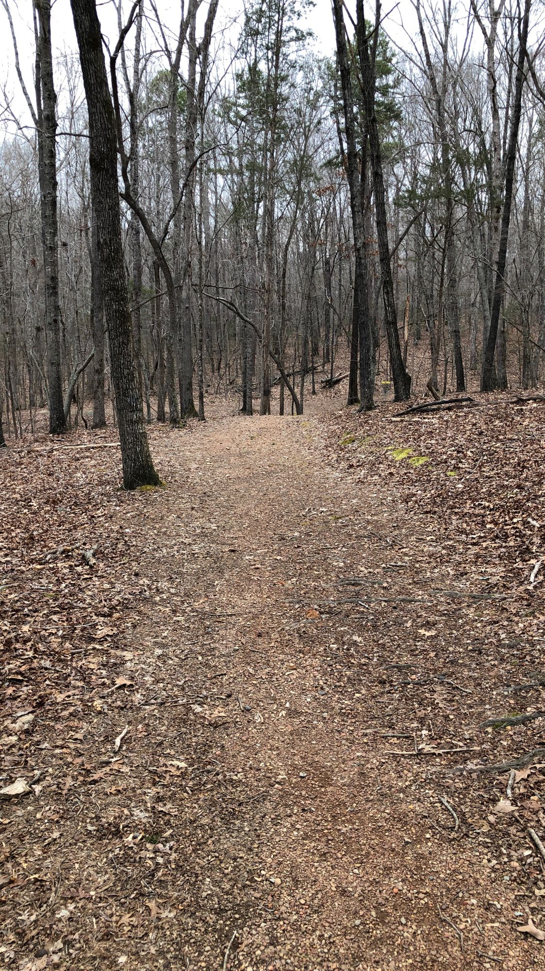 Around dog leg right corner