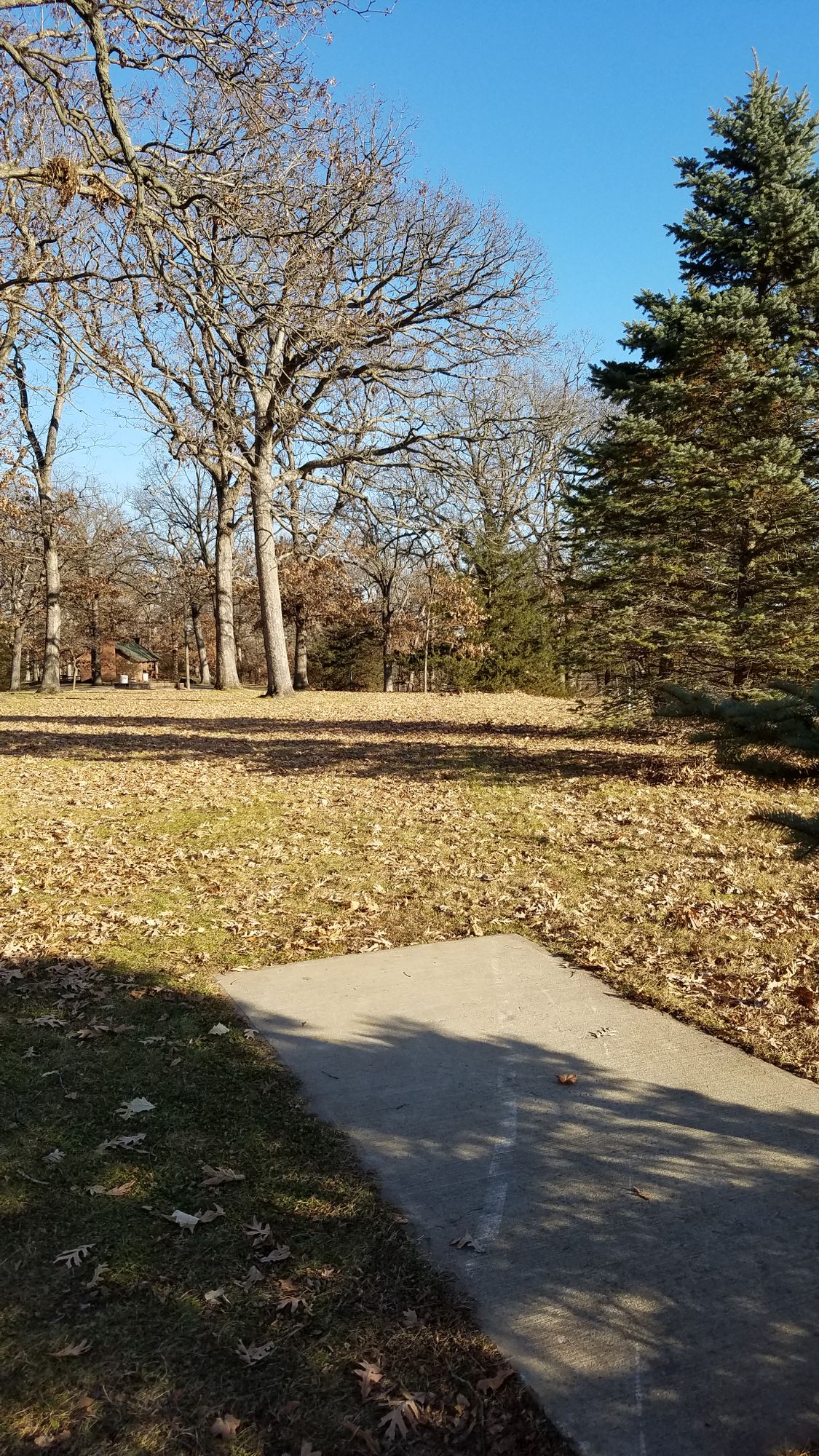 Teepad #4. Basket is dogleg right.