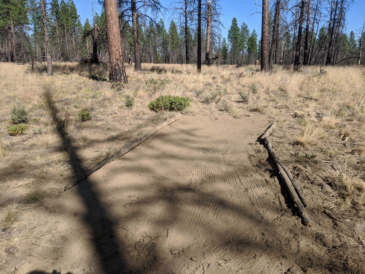 Hole 6 tee