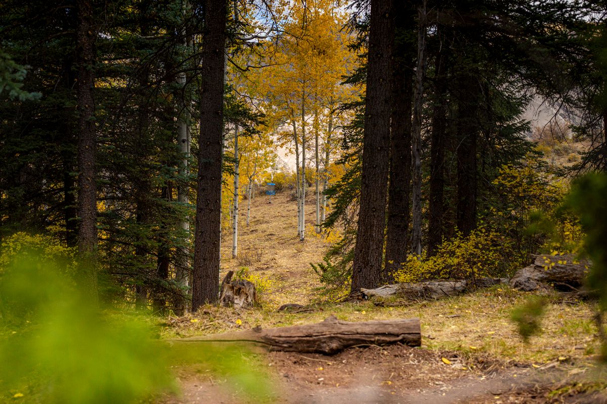 Hole 5 tee with basket in B position

📸: Kevin Banker || Banker Cinefoto || September 2020