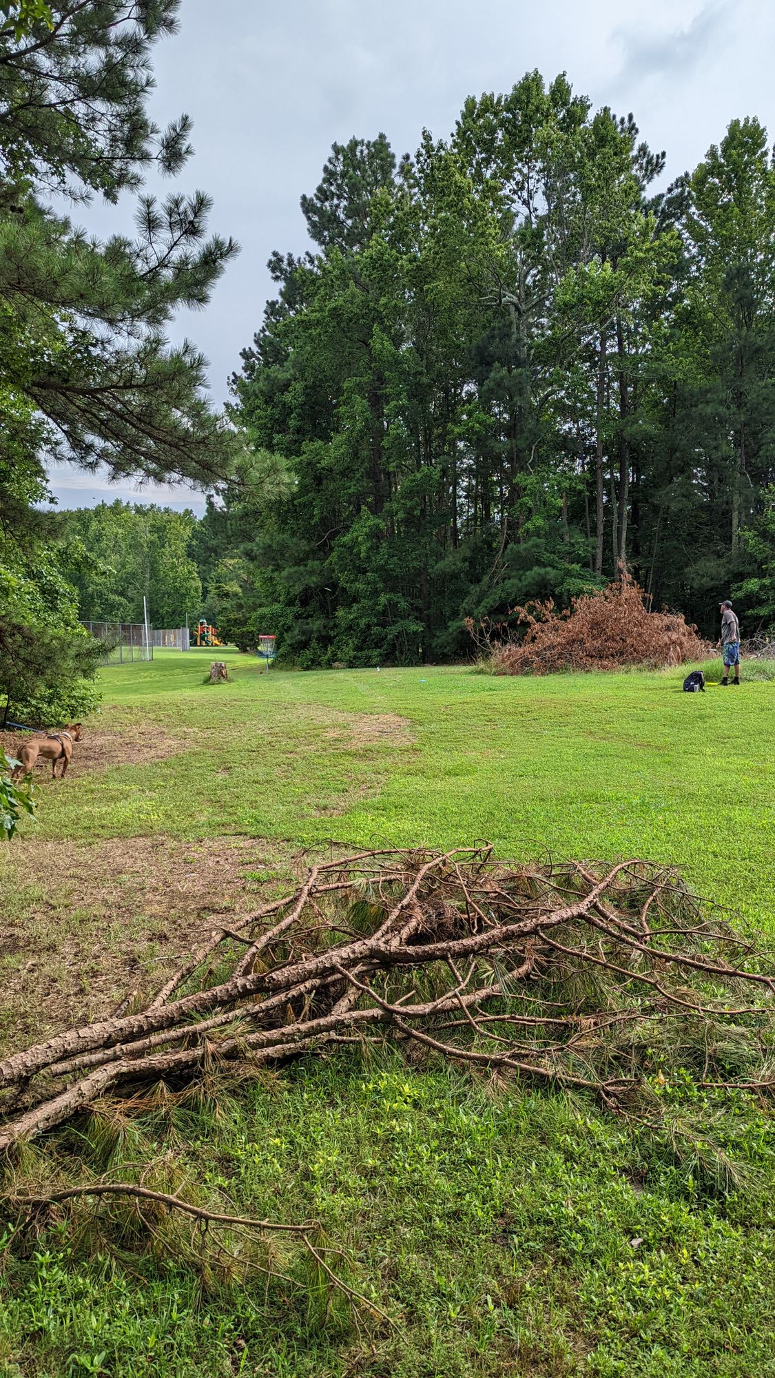 Hole 8 basket