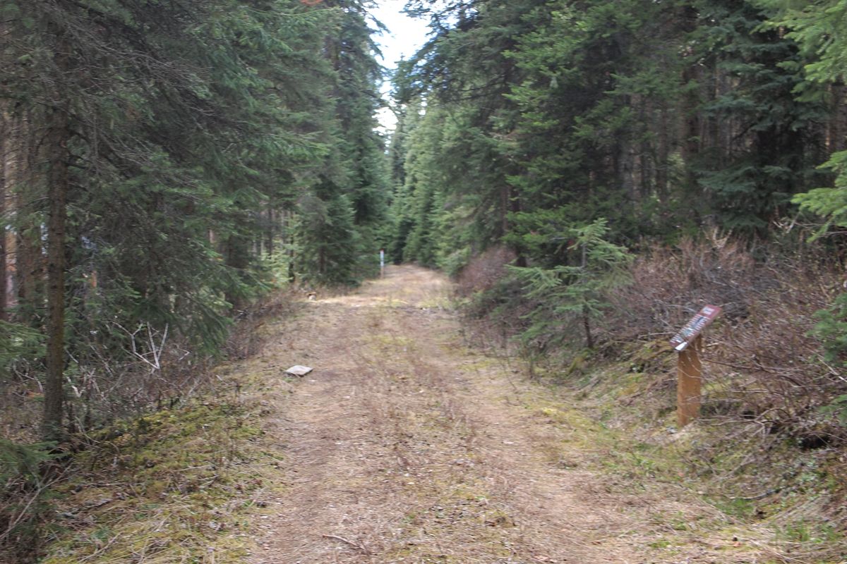 Hole 8