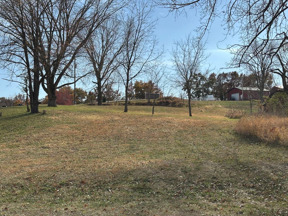 Hole 17 fairway. Road OB on the left