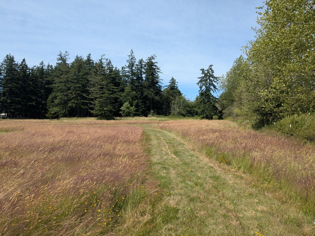 Hole 2
