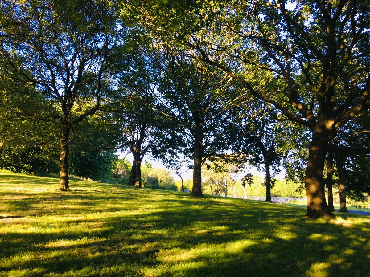 Holes 4s fairway