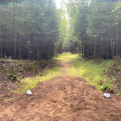 Hole 4