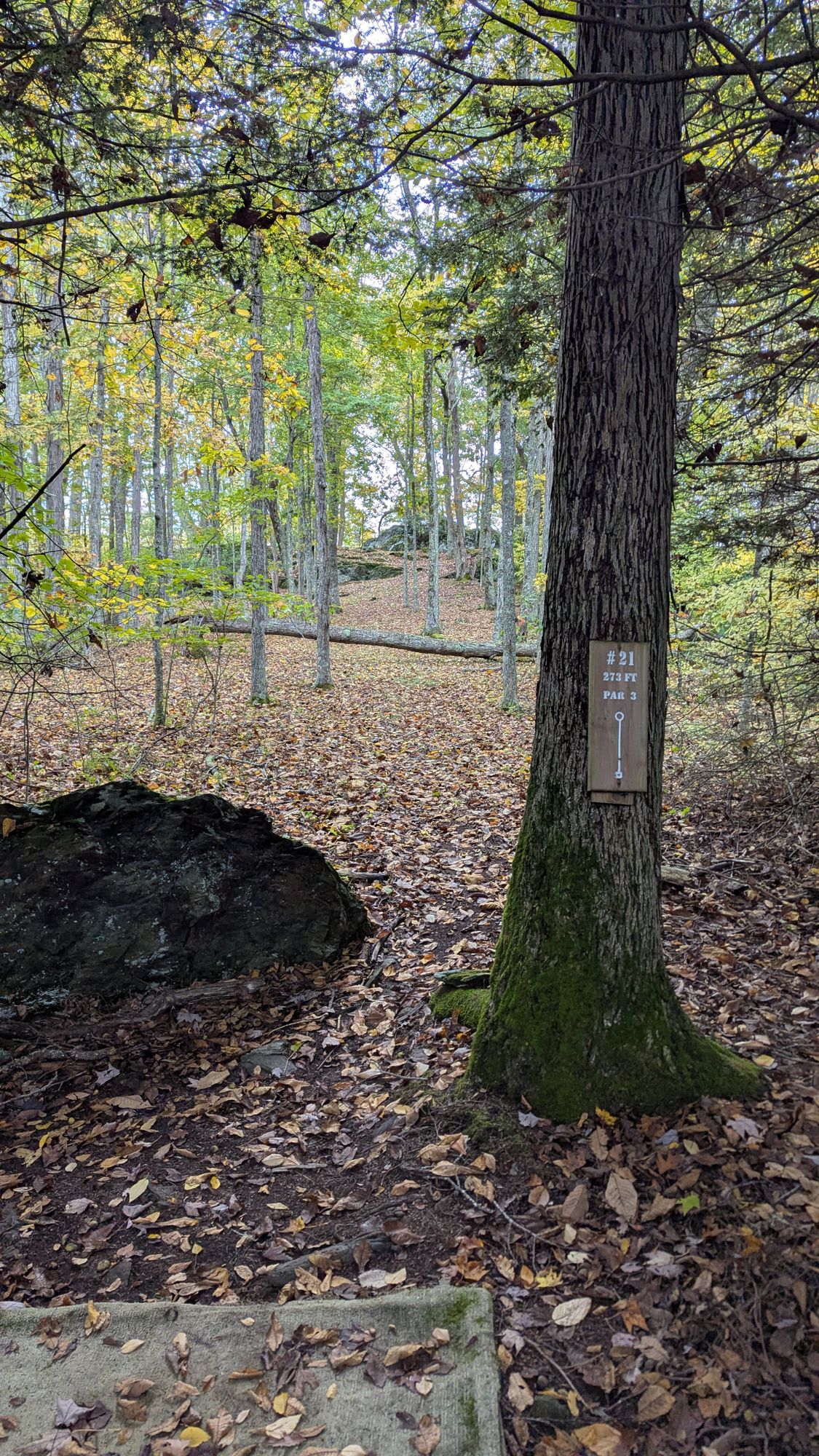 Hole 21