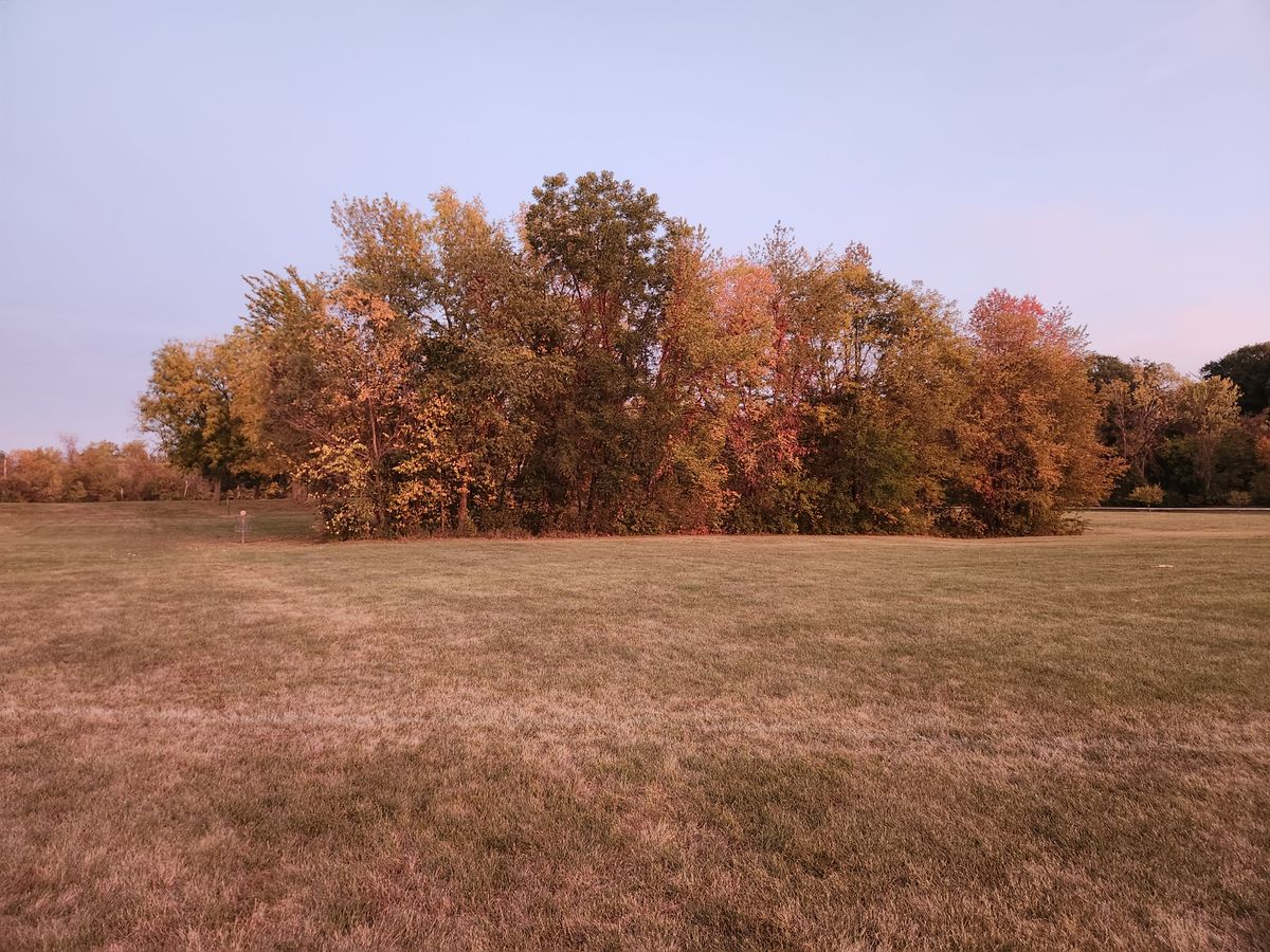 Hole 16s basket next to the line of trees.