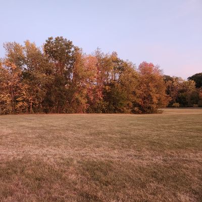Hole 16s basket next to the line of trees.