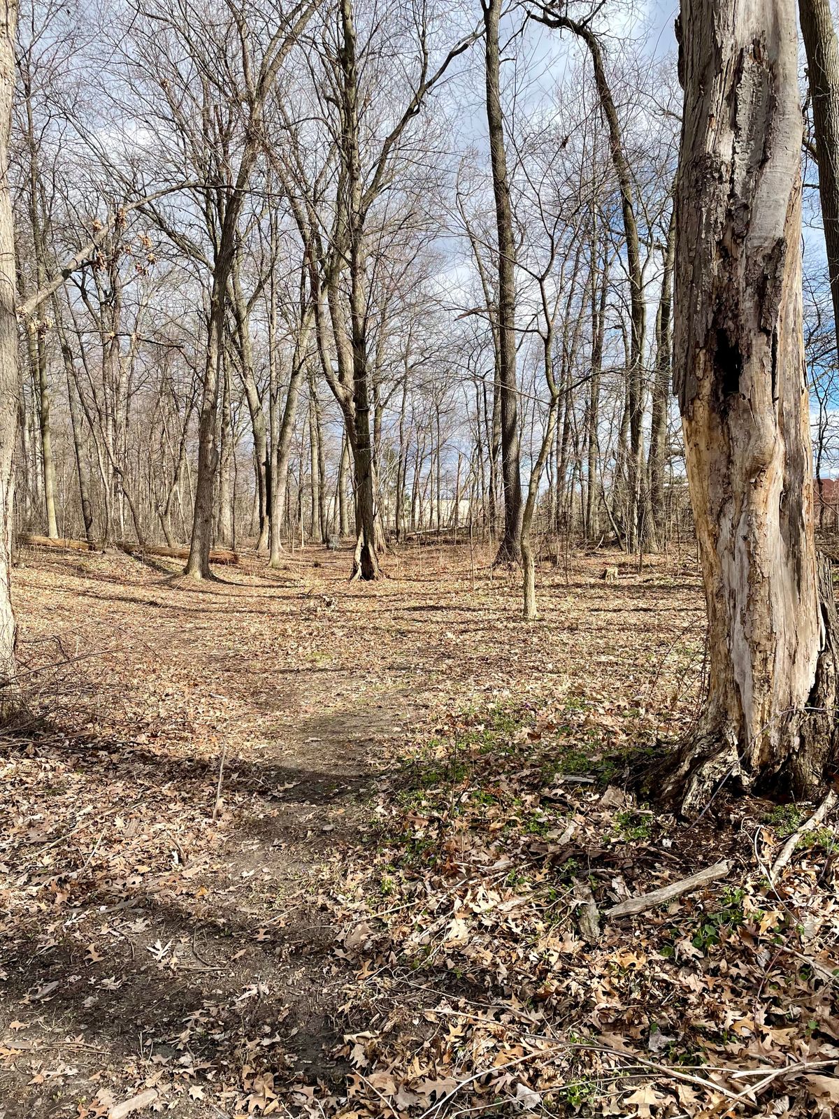 Hole 6 fairway