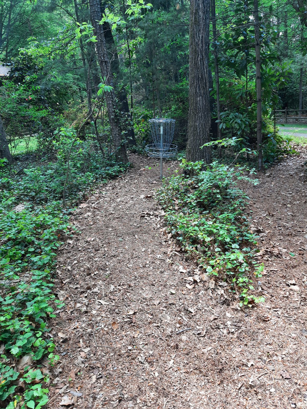 Hole 2 Green