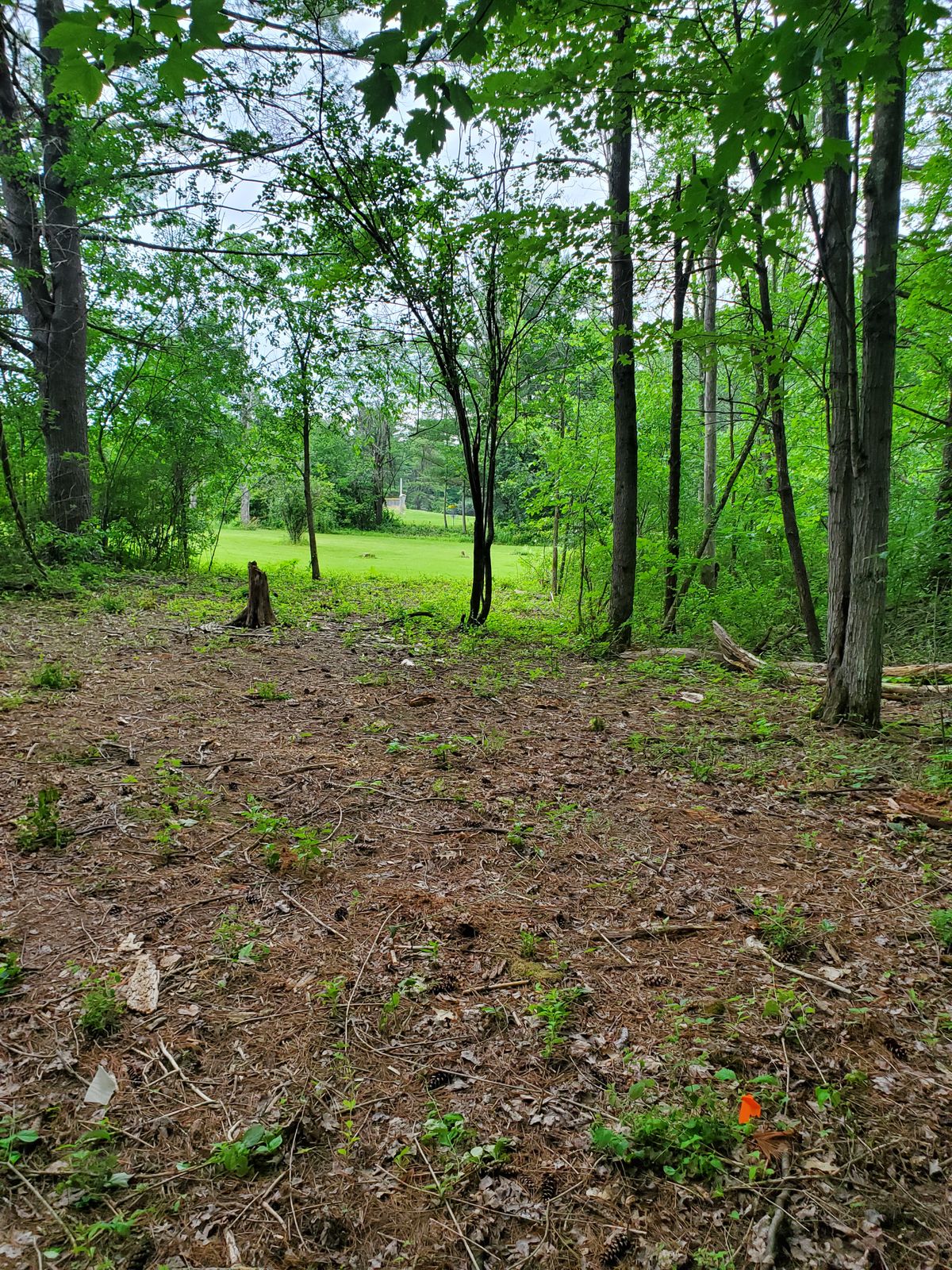 Hole 6 White Pre Installation Location