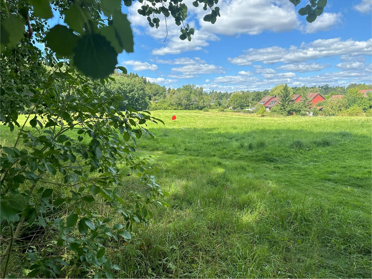 Basket hole 3 marked in red.