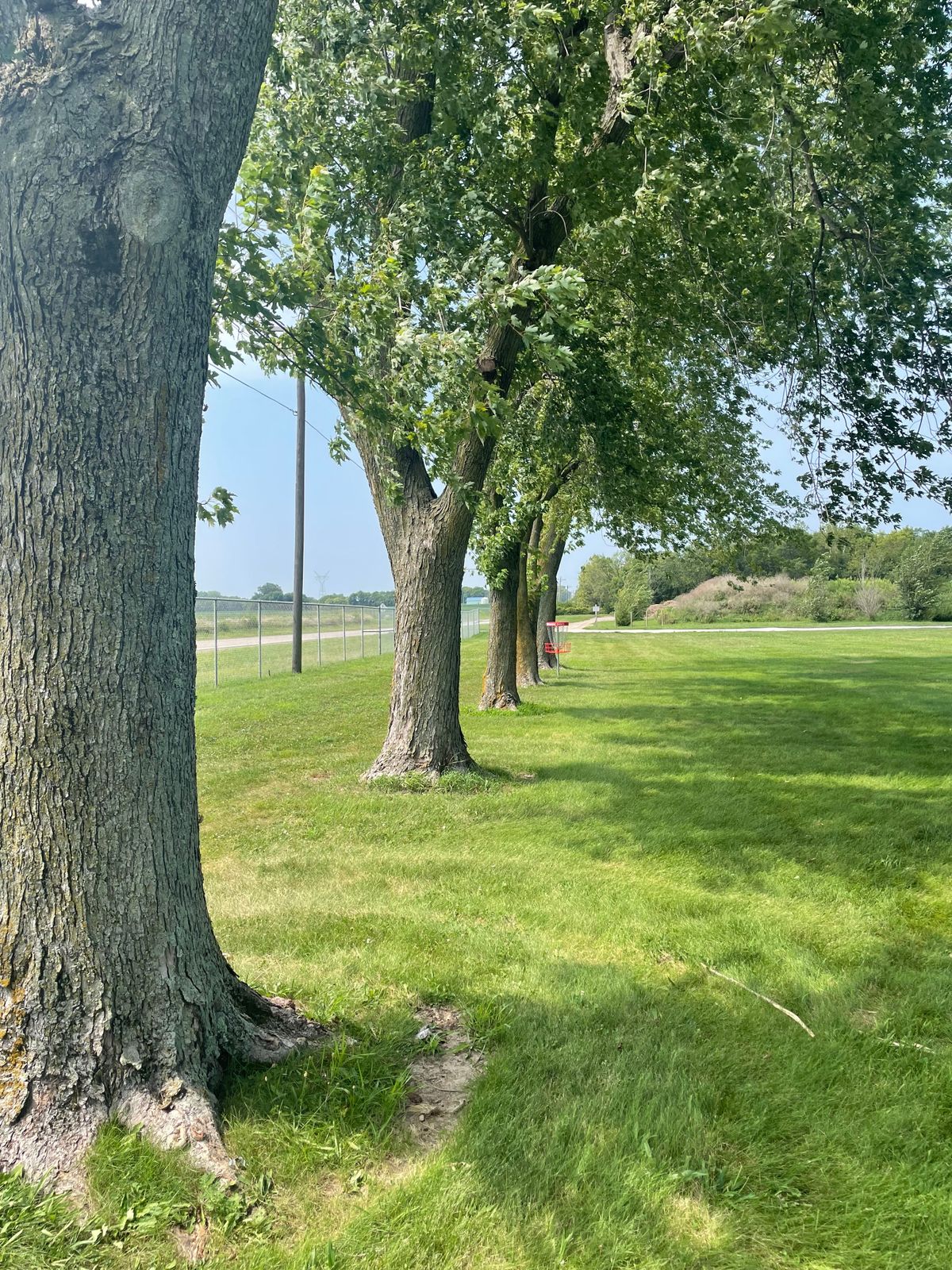 Hole 3 basket