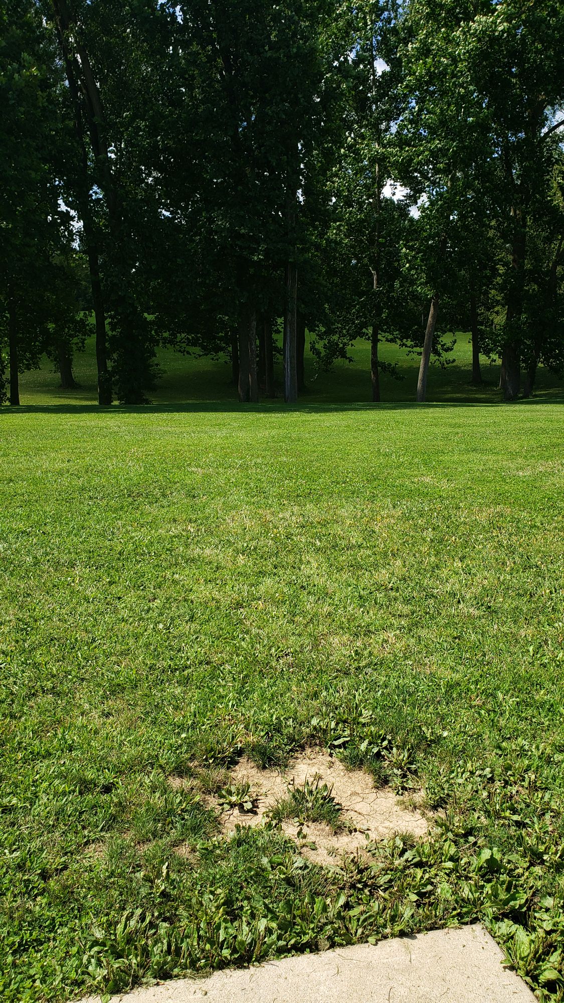 Hole #2 on a sunny morning