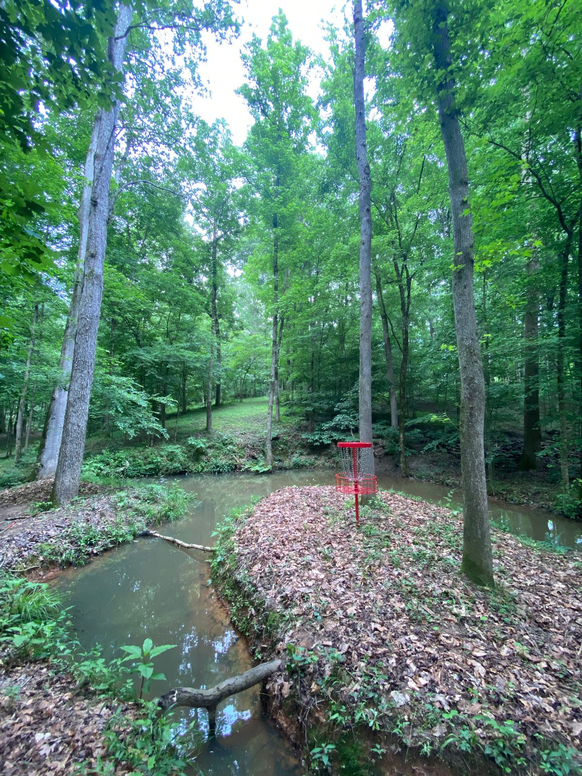 Death green of Hole 18