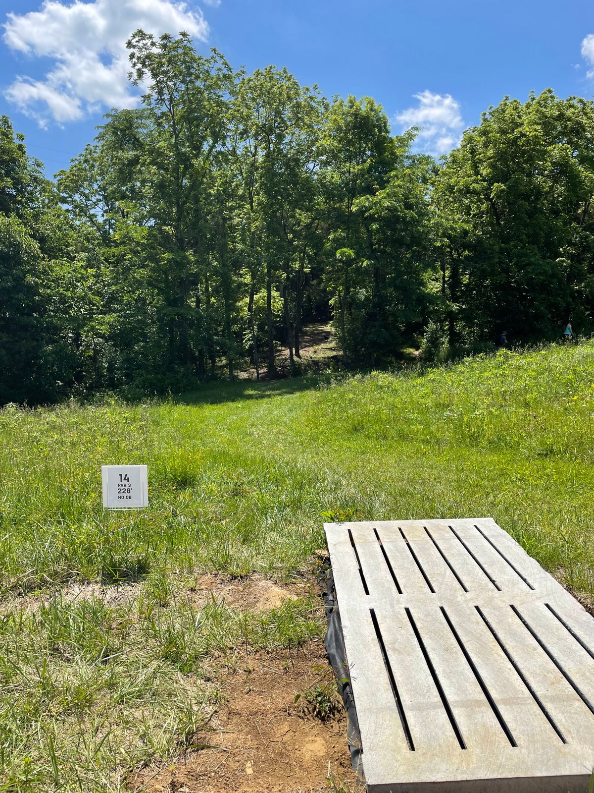 Hole 14