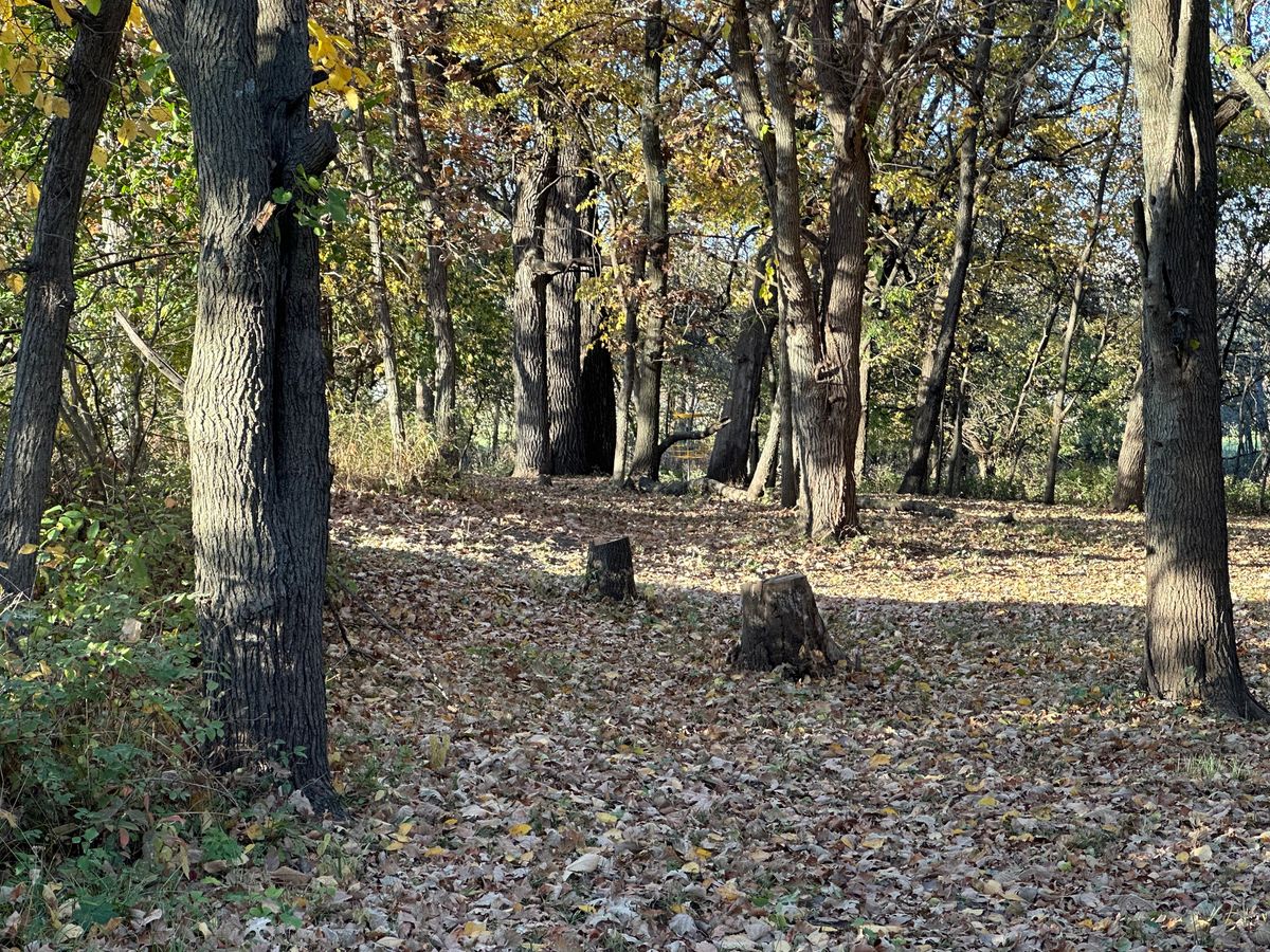 Hole 10 short pin