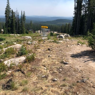 Disc Golf  Big White Ski Resort Ltd.