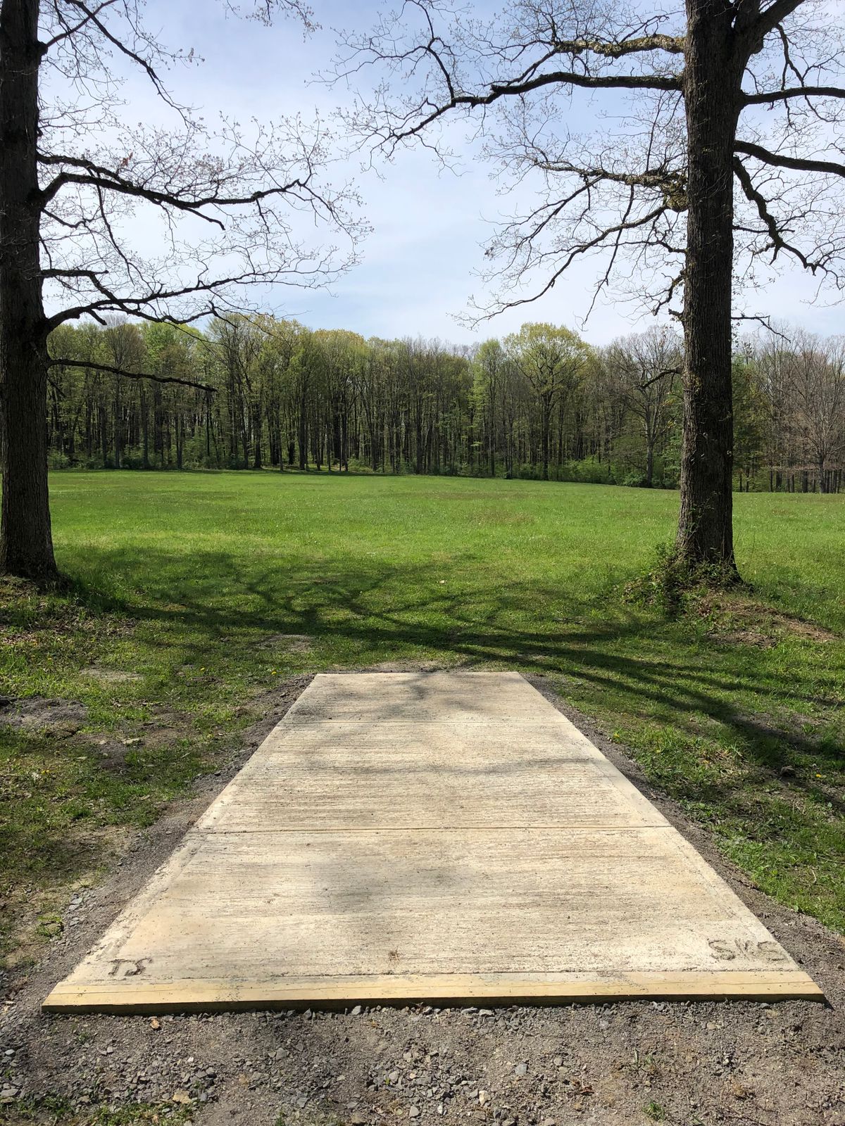 Par 5 #10
Red plays to original basket
White plays to long basket