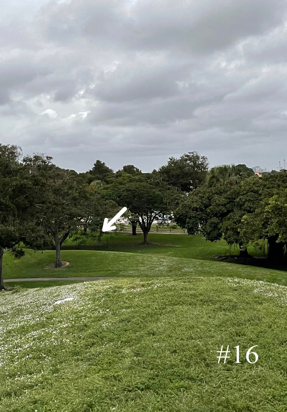 Hole 16 Tee