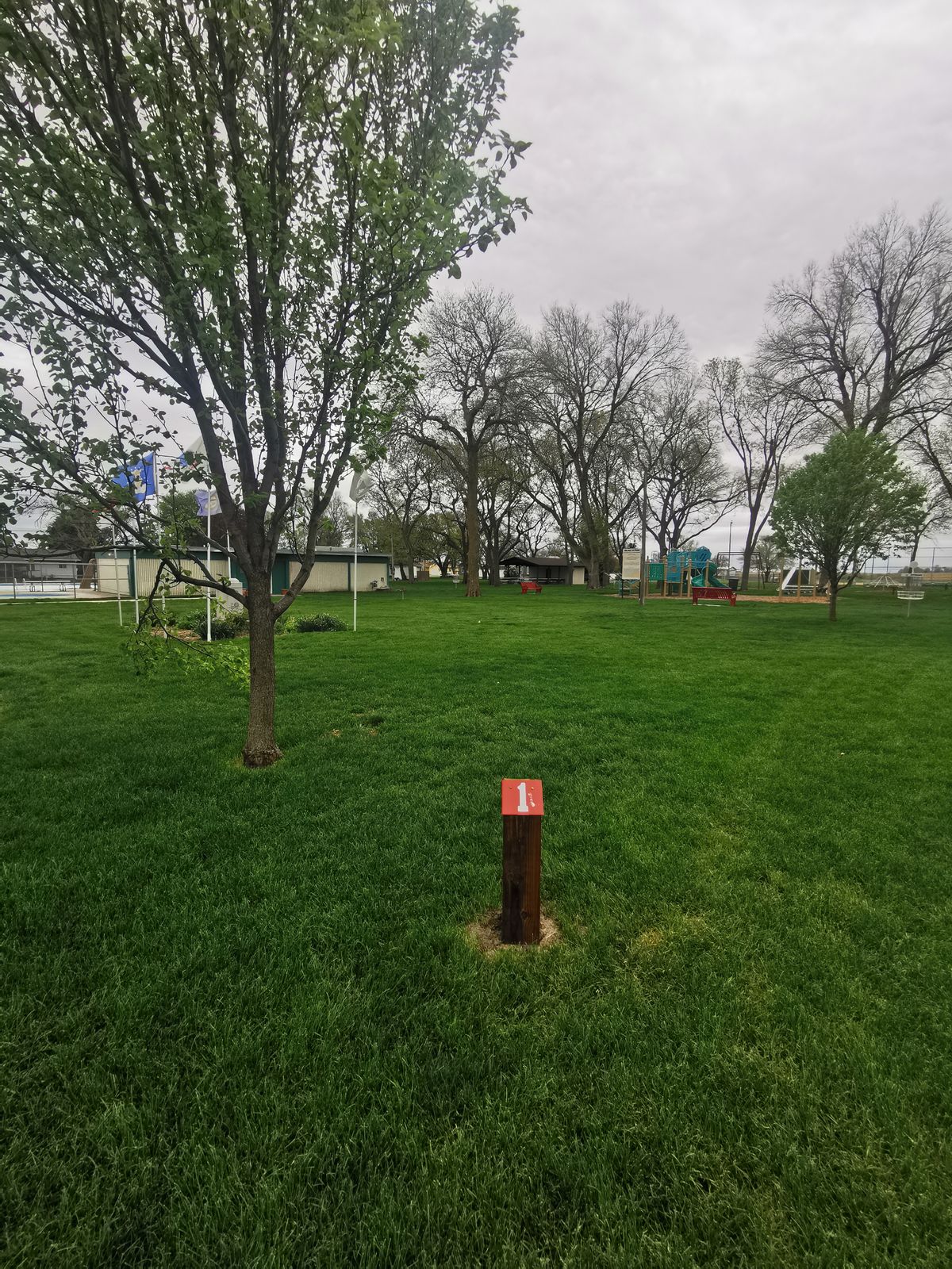 Tee 1