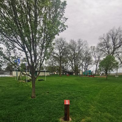 Tee 1