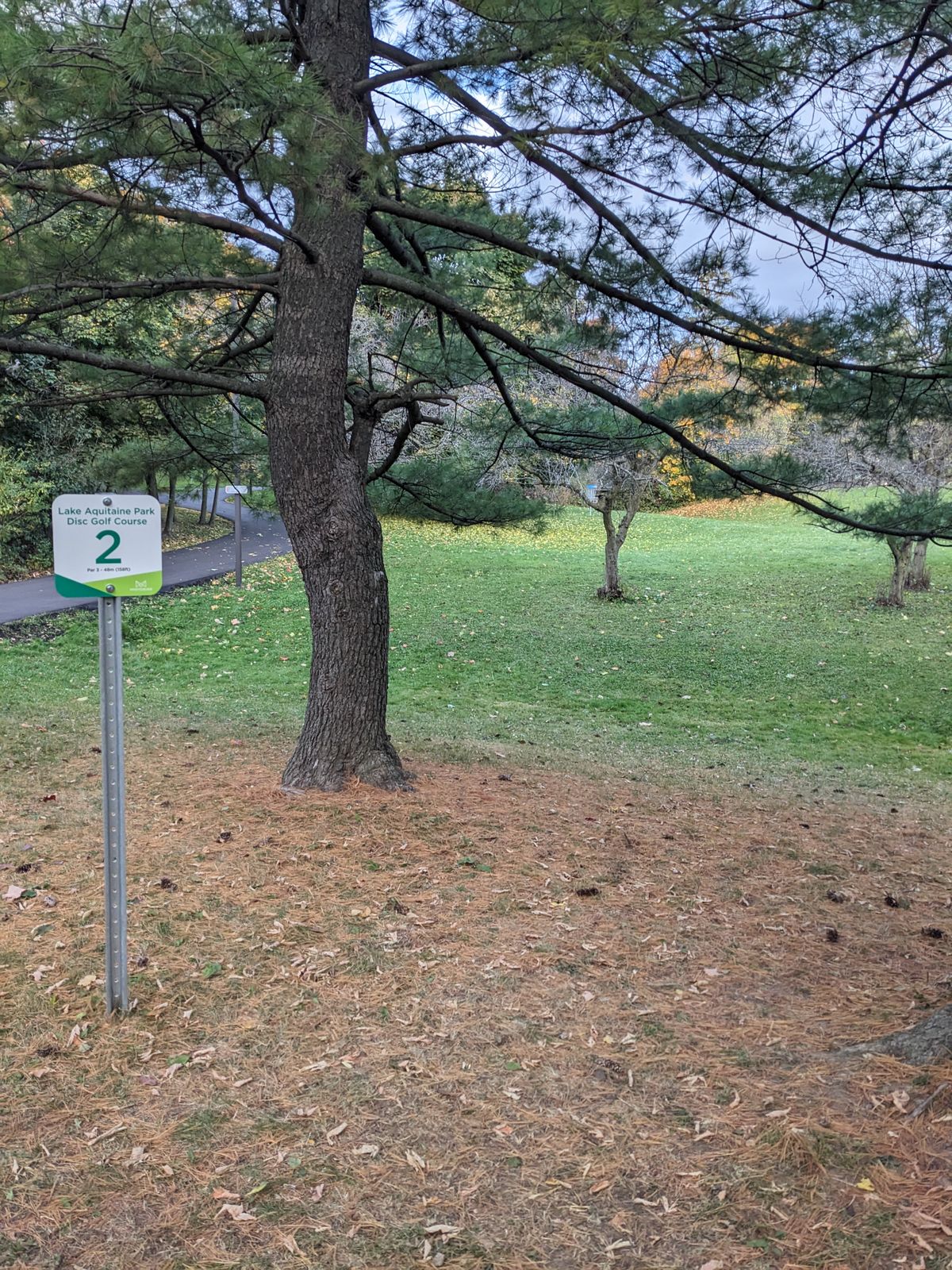 Low hanging branch on 2