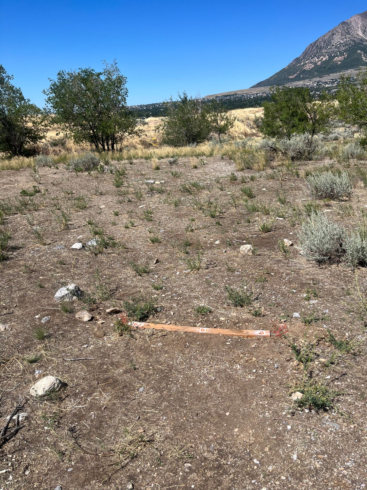 Hole 6 red tee pad