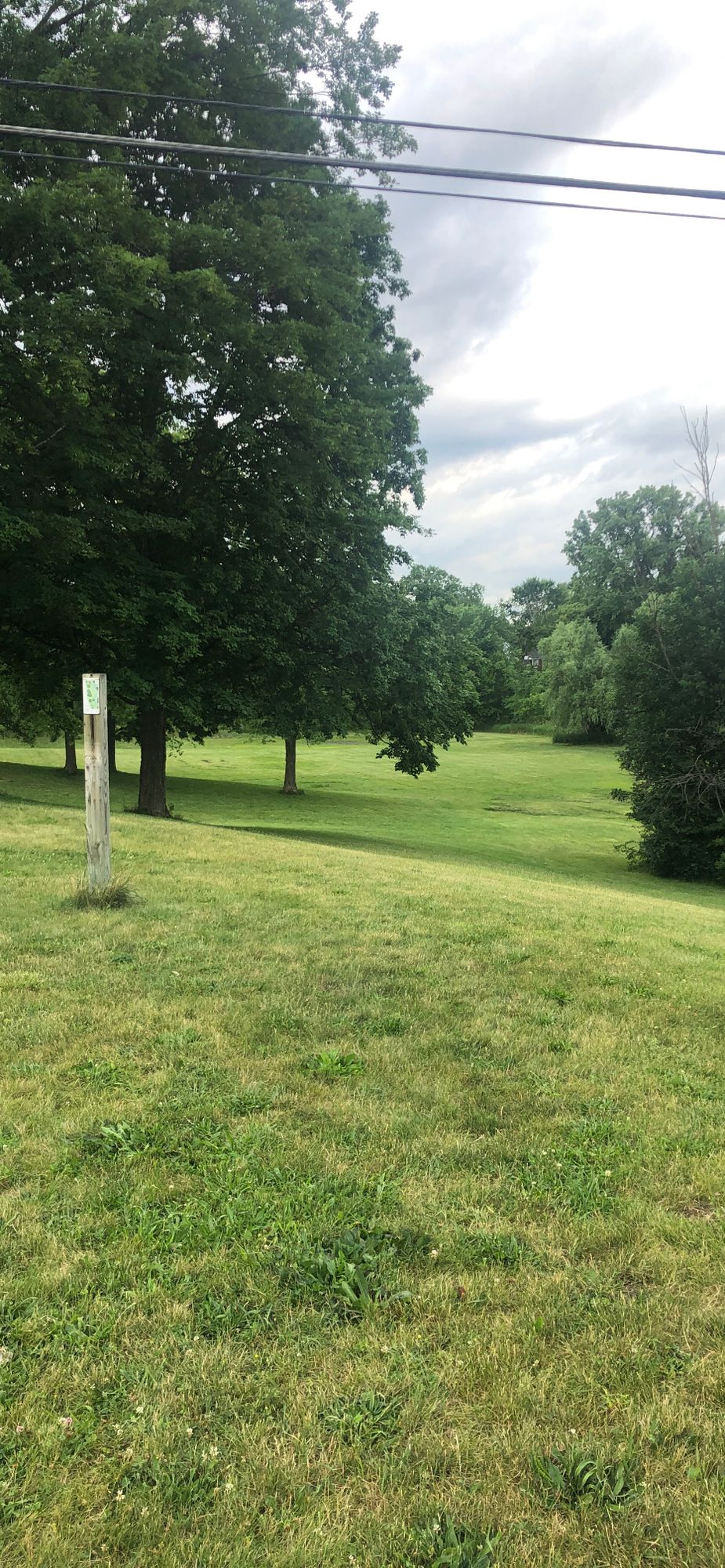 Hole 6