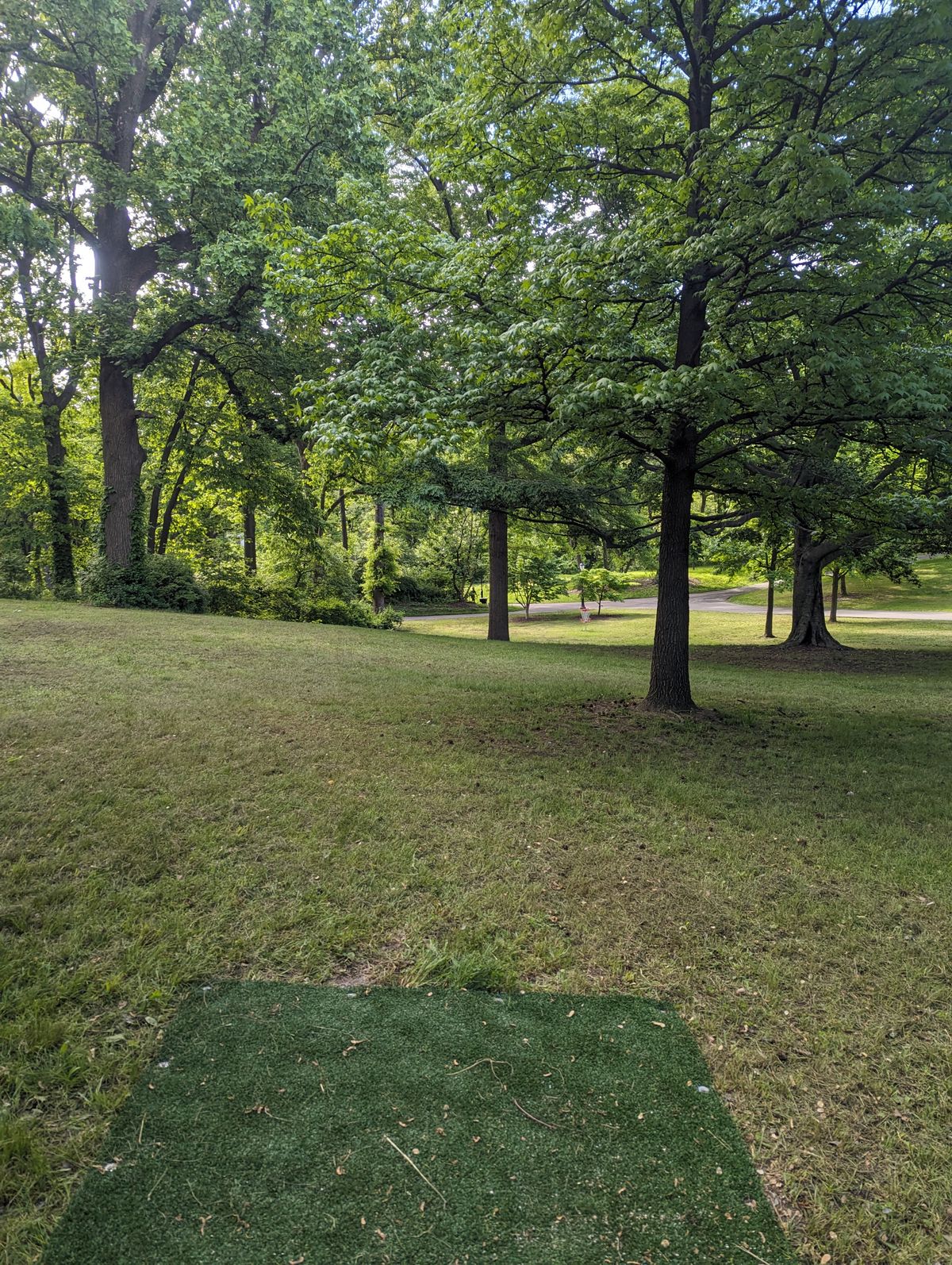Hole 8