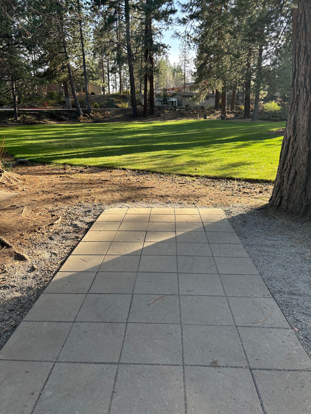 Hole 9 - New Tee Box