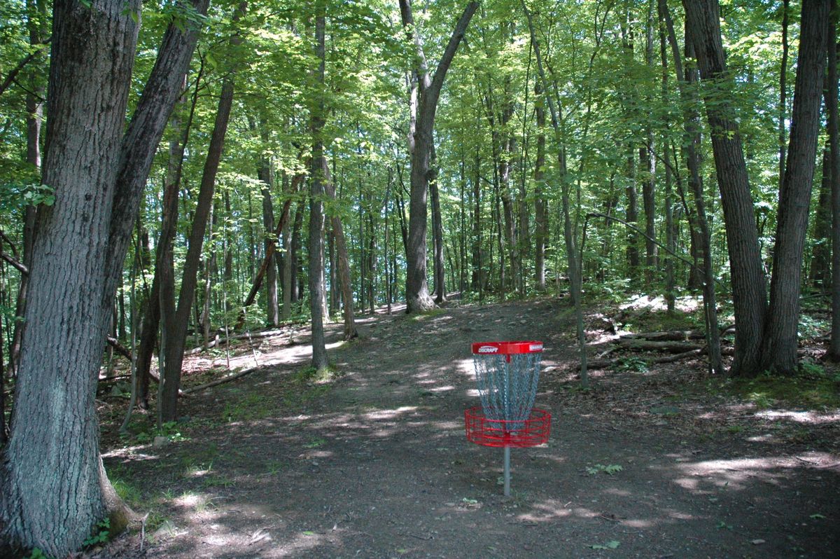 Hole 3 basket looking back towards tee pads, crest of the hill behind thick tree.