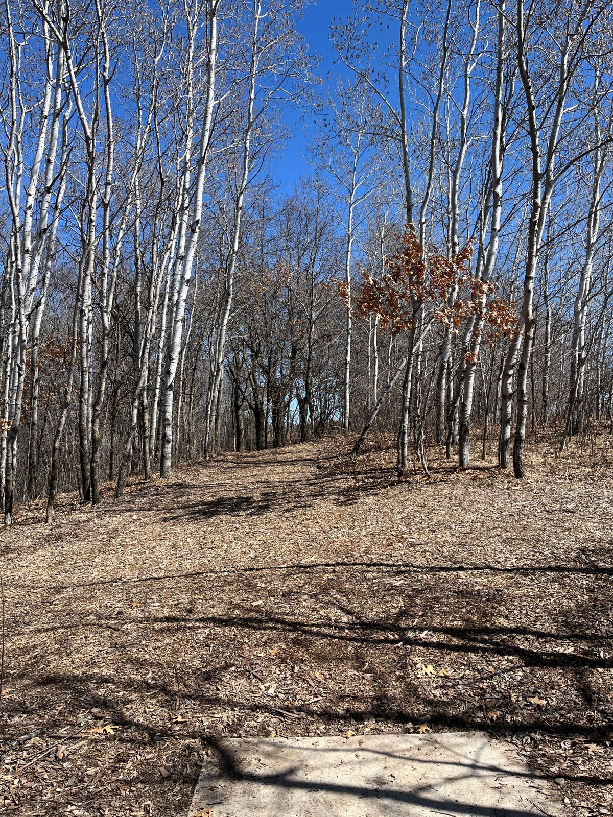 Tee 12 - Sanctuary Layout