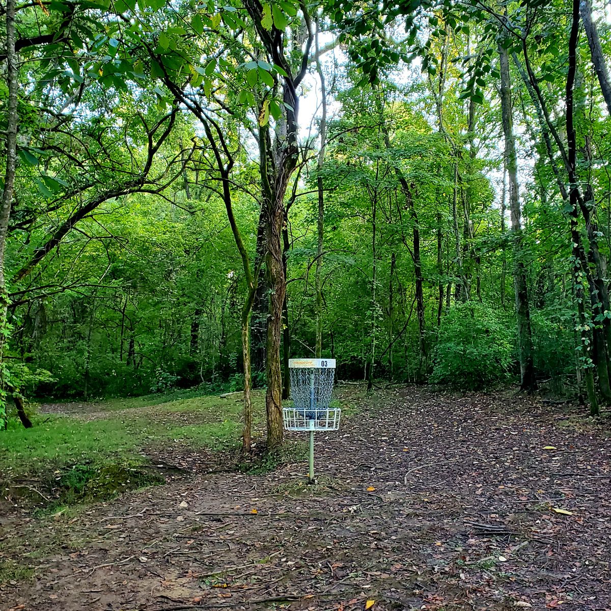Hole 3 Baby Cane