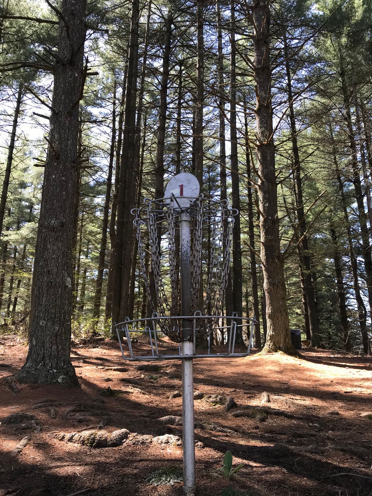 First hole basket