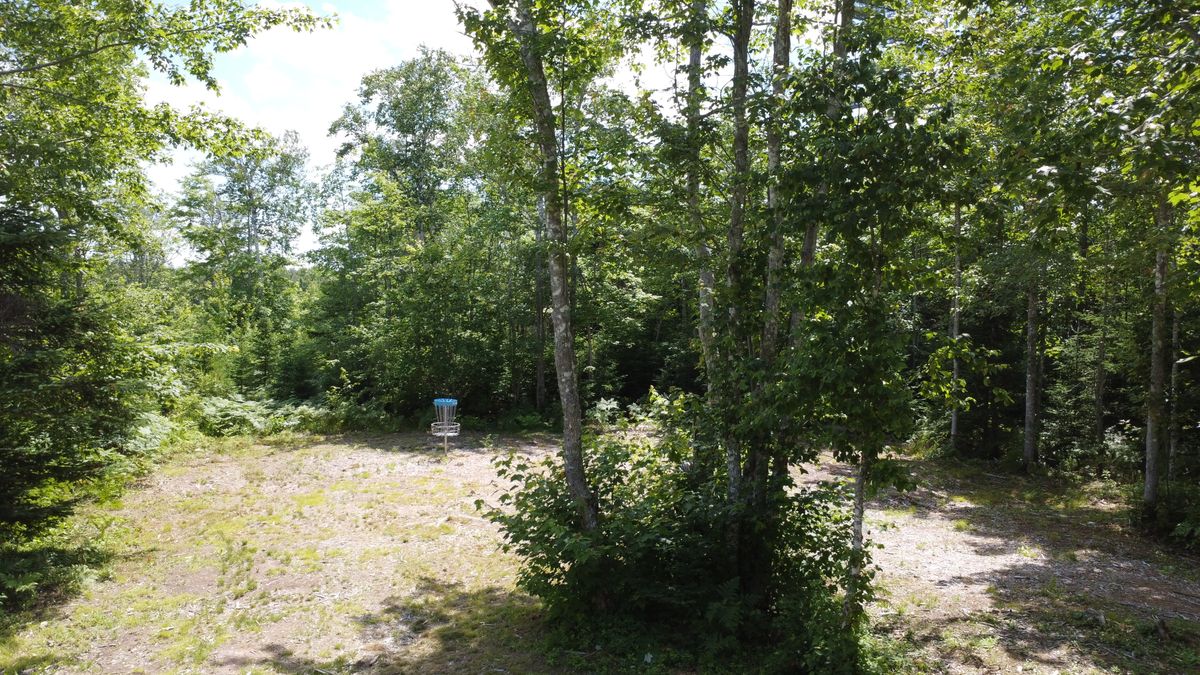 Hole 10 - green.