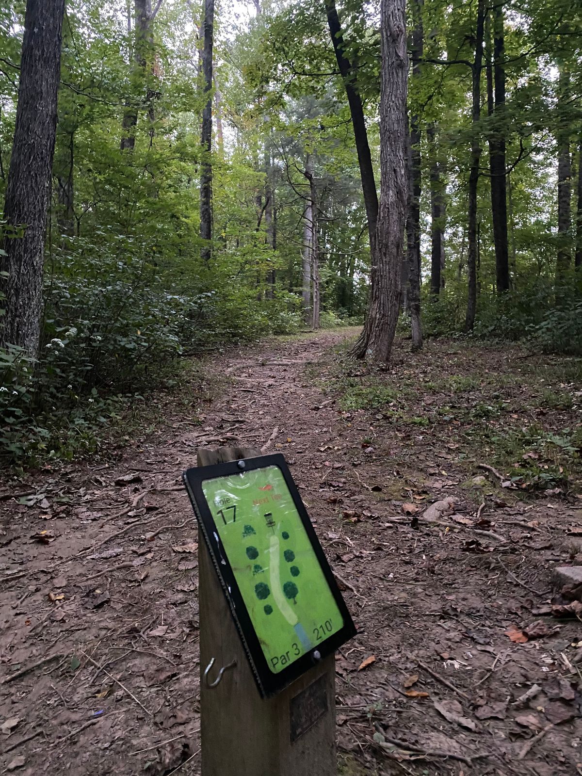 Hole 17
