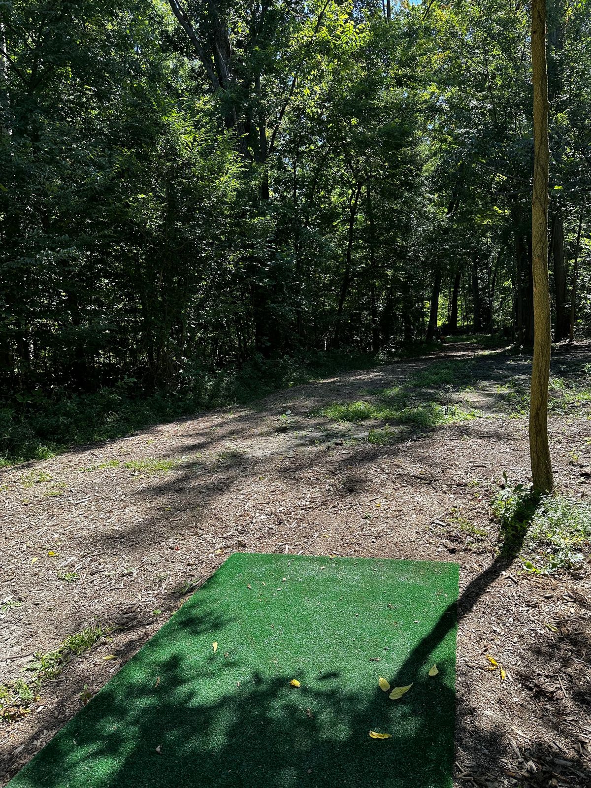Hole three pad