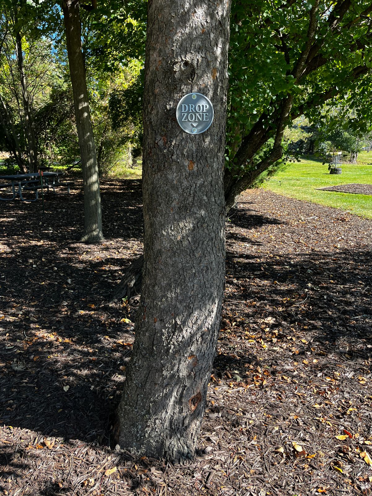 Drop zone marked on the mando tree for holes 3 & 4