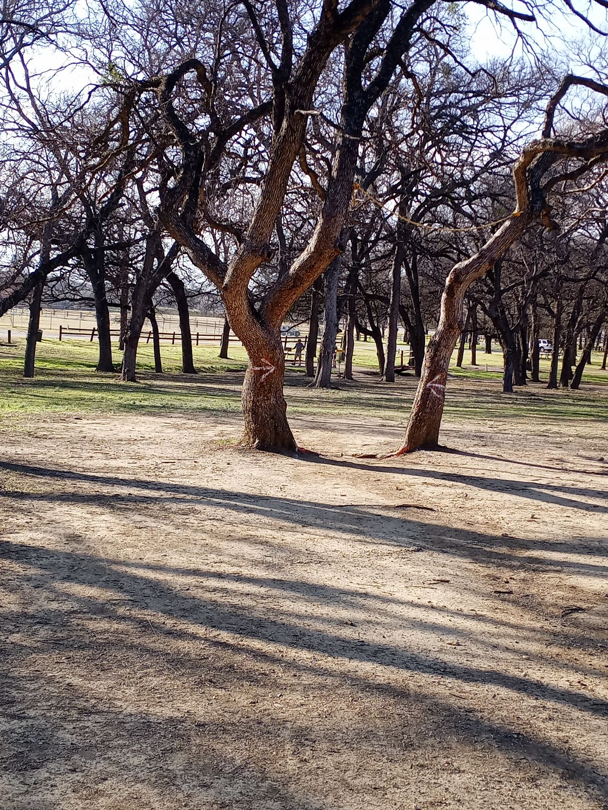 Hole 17