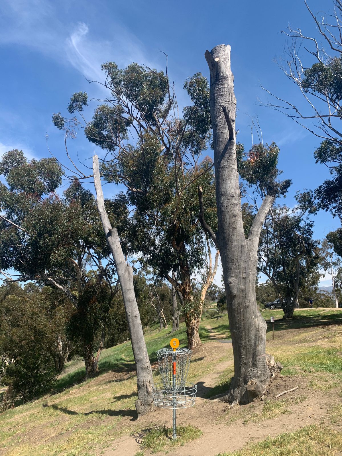 Old Hole 5