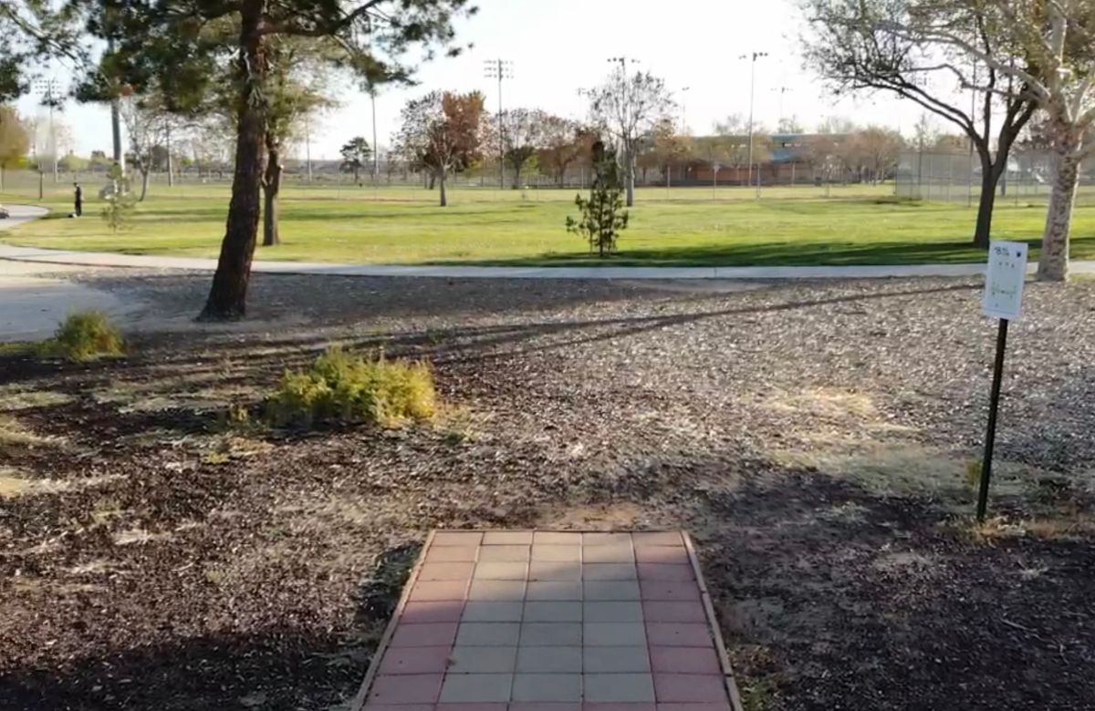 Hole 8 Tee Box