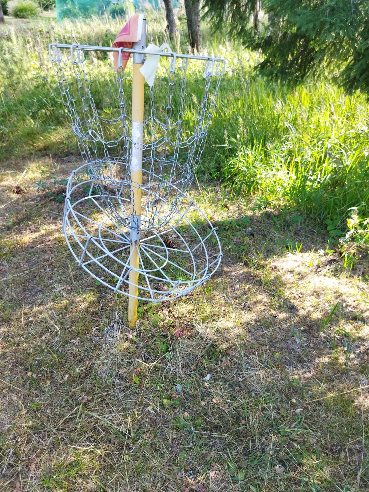 Ysi väylän kori