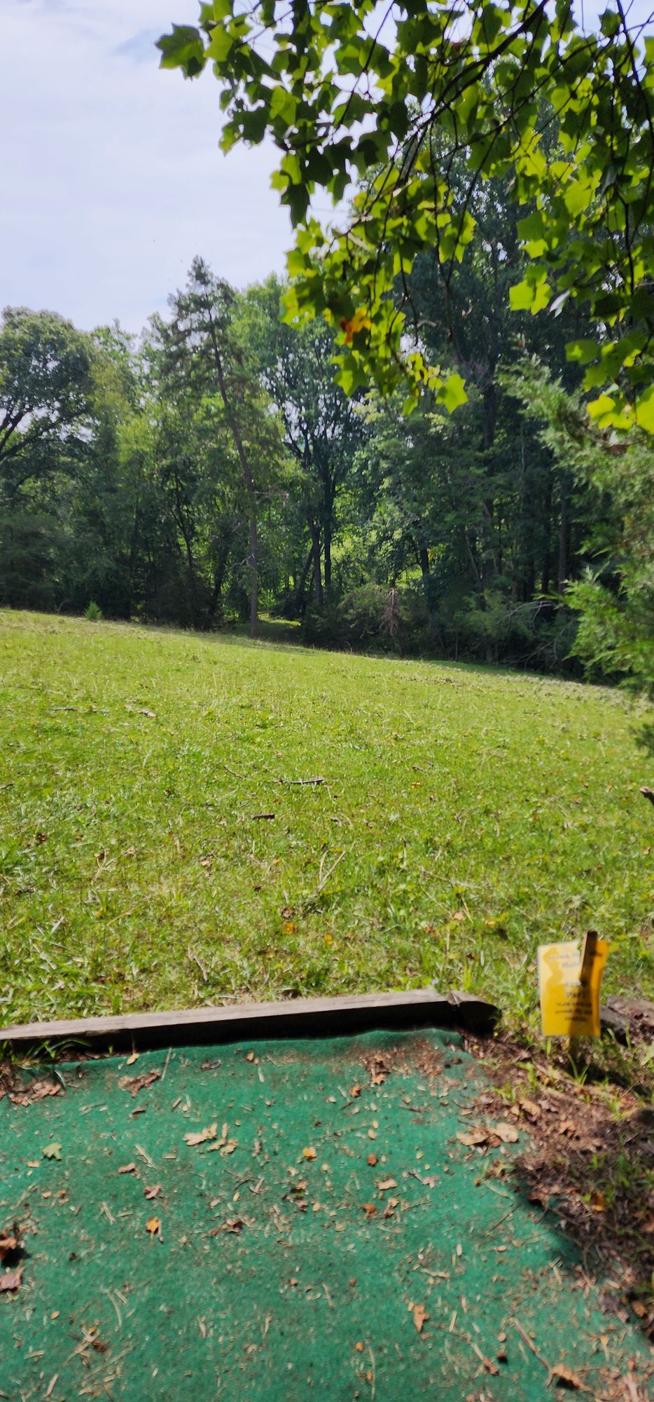 Hole 4 from tee pad, down the hill through trees, basket down to the left in front of creek